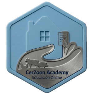 CerZoon Academy