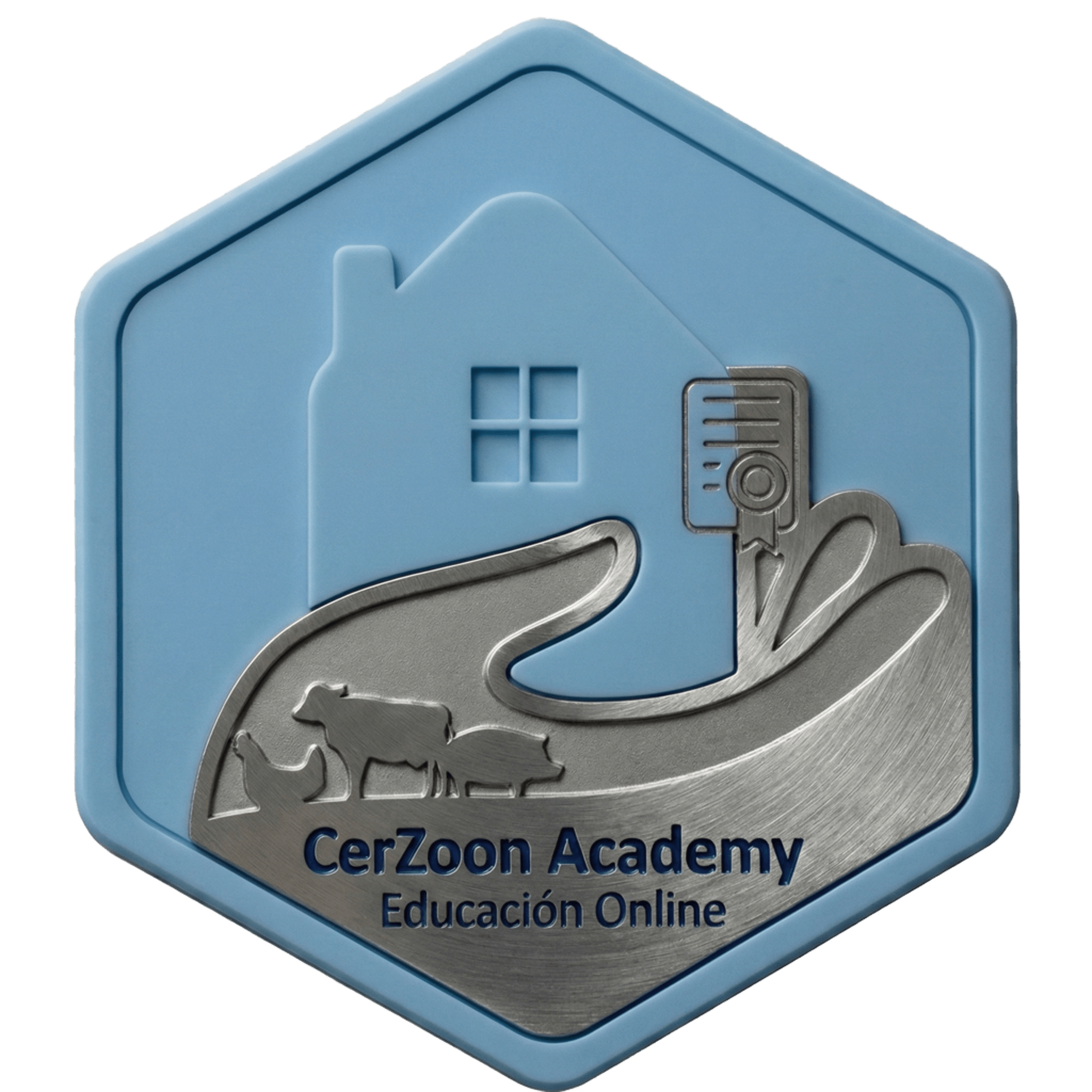 CerZoon Academy
